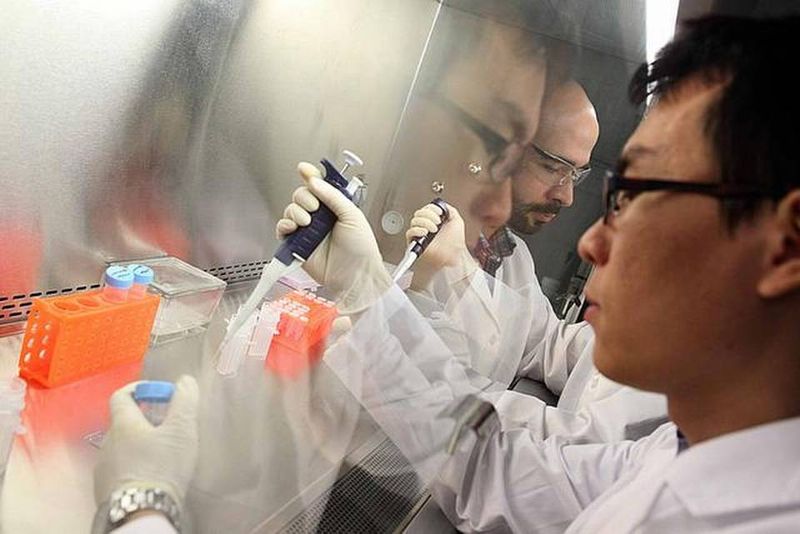 Enp00 Entopsis BIZ PPP Enp00 Entopsis BIZ PPP